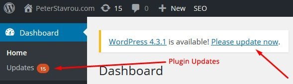 How to Update WordPress