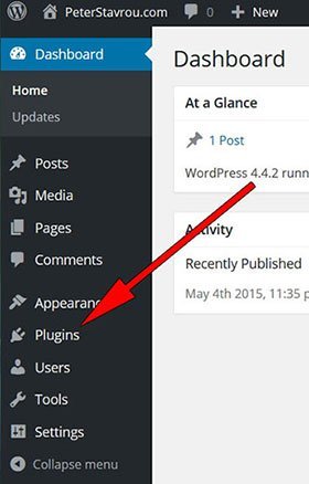 404 Redirection WordPress Plugin Subdirectory - Fix Plugin